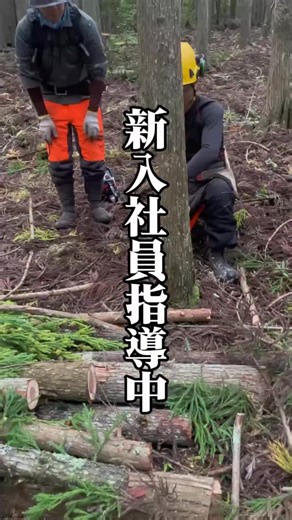 2.8K views · 118 reactions | 【基本伐倒練習中】...