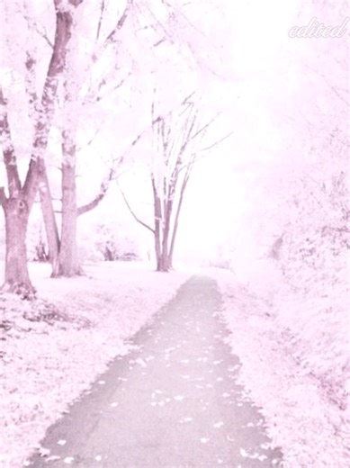 The Magic of Taylor Lautner's Performance in Twilight