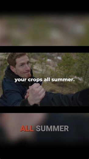 4 Life Lessons: Master Winter, Spring, Summer, Fall #shorts