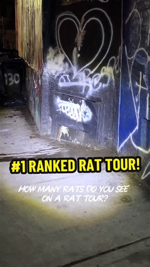 Number 1 ranked rat tour in the world! How many rats do you see on a rat tour with Rat Daddy? Unlike competitors tours who go during the daylight hours, you are guaranteed to see multiple rats. We typically see 30-40 on average, with some nights seeing 50 rats. It really depends on how active they are, if it’s a trash night, and how much foot traffic is still on the streets. #rattour #kennybollwerk #ratdaddy #nycrats #ratinfestation