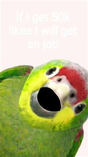 you need to do dat gays