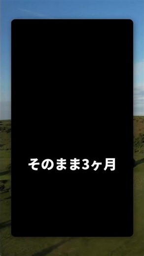 かわいいはずの虫がフグ毒130倍の猛毒🐜