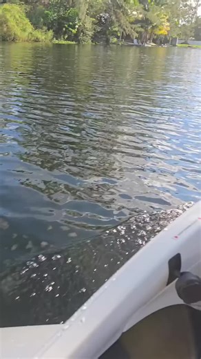 Exploring the Joys of Seaplane Flying