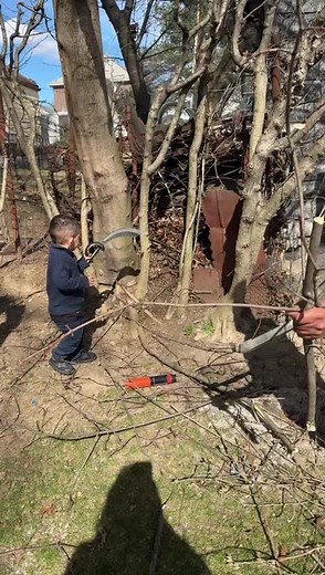 El amigo bronco (@elamigobronco)’s videos with sonido original - El amigo bronco