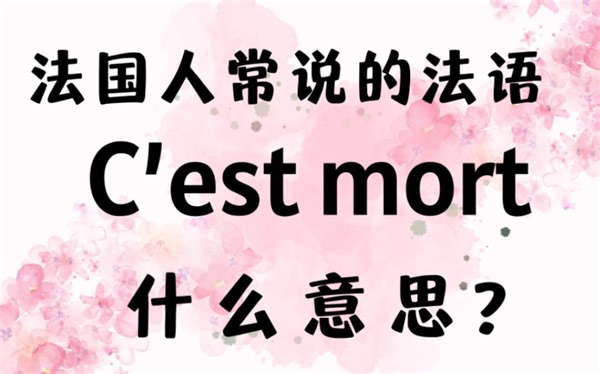 法国人常说的法语"C'est mort"什么意思？【法语口语学习】