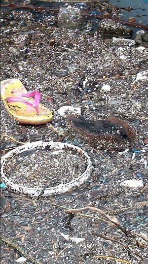 The Great Pacific Garbage Patch – An Ocean of Plastic