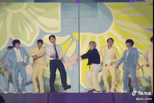 SEVENTEEN Left & Right Dance Compilation