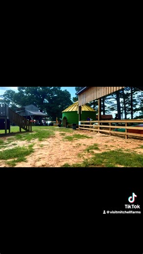 Let's take a ride through the pumpkin patch! #MS #Mississippi #mitchellfarms Order tickets today! 🎟 https://buytickets.at/mitchellfamilyfarmsllc1/1840950 | Mitchell Farms