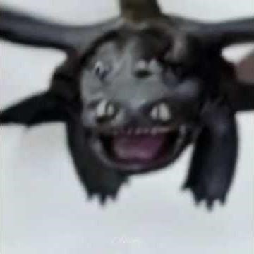HTTYD | Funny Compilation