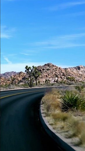Visiting Joshua Tree in 1 day: everything you need to know ✅ #joshuatree #shorts