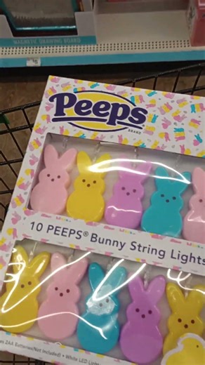 Dollar Tree Easter Hual video #snacks