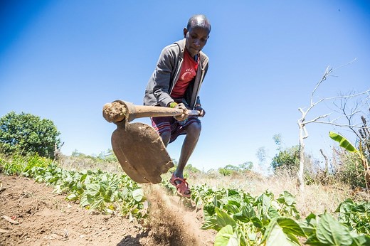 How will climate change affect agriculture? | Oxfam America | Learn more