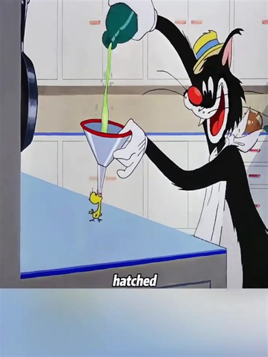 Funny Cartoon Highlights in the USA