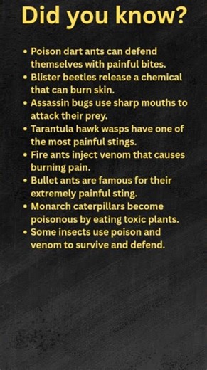 8 Poisonous Insects You Should Know