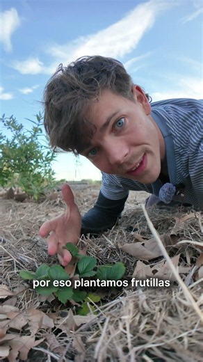 Plantando nuestro propio super
