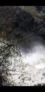 Victoria Falls is roaring louder than ever this year...With full water levels and breathtaking spray, the magic is real and unforgettable. Don't just hear about it, come and witness the power, beauty and wonder yourself.. #viralvideochallenge #viralreelschallenge #natureatitsbest #victoriafallszimbabwe | Victoria Falls