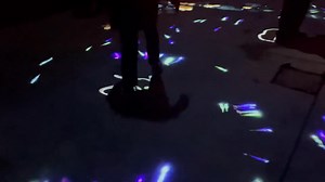 4.1K views · 70 reactions | NUITS DU PARC : la déambulation se terminera par une partie de cache-cache interactive avec les oiseaux et les poissons ! A partir du 28 novembre ! | Parc des Oiseaux | Facebook