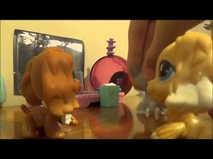 LPS The Vampire Academy Pilot Episode 1