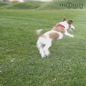 2.3M views · 10K reactions | Do you believe? Open the new camera mask on your Facebook app and try to capture a UFO. | The X-Files | Facebook