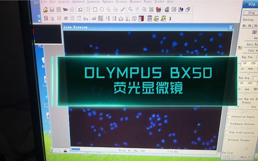 OLYMPUS BX50（奥林巴斯）荧光显微镜的使用方法