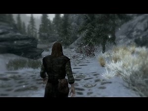 [1 Hour and 13 Minutes] Skyrim Ambience - Walking from Windhelm to Riften via South Western Paths