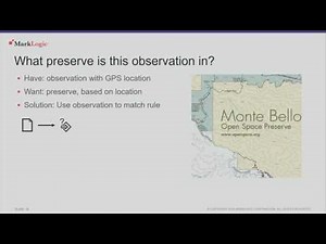 MLW SF: Search Yes It Can Do That