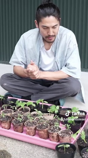 さぁこの後どうなると思う？？ #古民家 #古民家暮らし #古民家リノベーション #古民家diy #田舎 #田舎暮らし #田舎あるある #スローライフ #自給自足 #自給自足生活 #築50年の家 #畑 #苗作り #家庭菜園