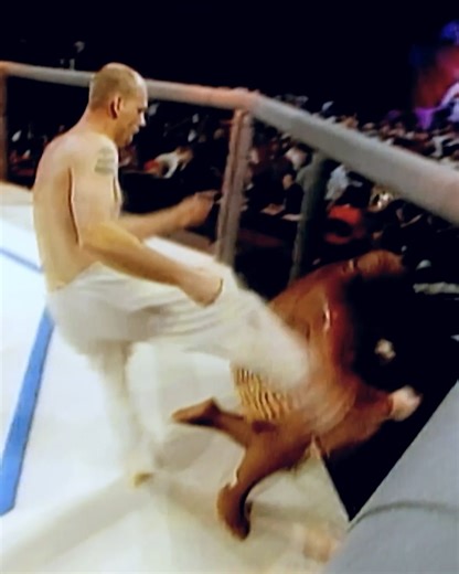 1993년 오늘, UFC의 역사적인 첫 이벤트👀 [ #OnThisDay | UFC on This Day | UFC Fight Pass ] | UFC