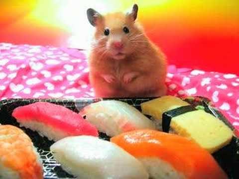 Pecha Kucha Training Bite