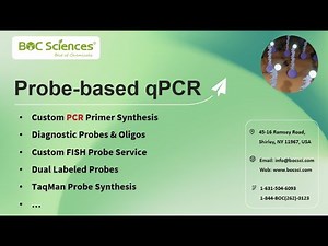 Nucleic Acid Probes in qPCR - How Do Probes Work in Real-Time PCR? - BOC Sciences