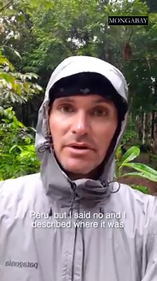 297K views · 1.2K reactions | When Mongabay's founder flew a drone over a deforested patch of rainforest on the border of Colombia, Brazil and Peru, he was able to identify a small coca plantation planted illegally on an indigenous group's community forest, unbeknownst to them. Members of our Insider Content series can learn more here: https://news.mongabay.com/2020/04/using-satellites-to-alert-an-amazonian-indigenous-community-of-coca-encroachment/ | Mongabay.com | Facebook