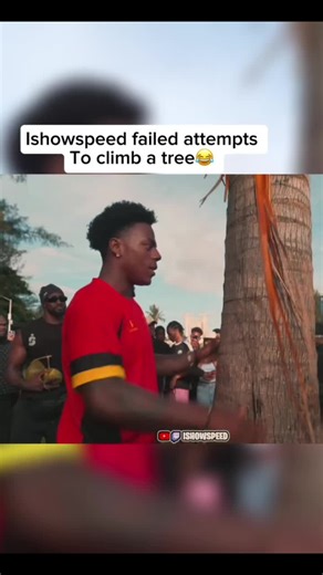 Speed Fails to Climb a Tree and Hilarious Reactions