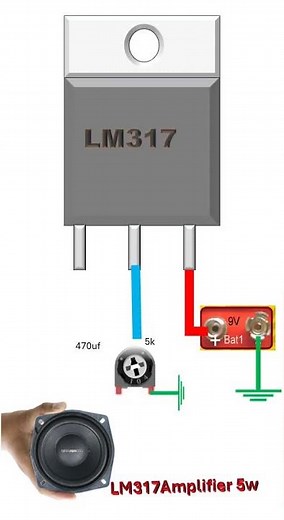 LM317diy amplifier#electronic