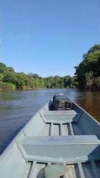AMAZON JOURNEY: Discovering the Secrets of Lake Ácara in the Rainforest