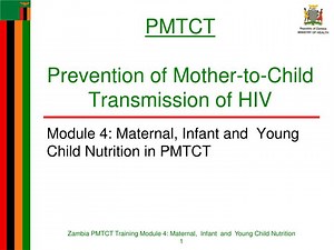 PMTCT Prevention of Mother-to-Child Transmission of HIV - SlideServe