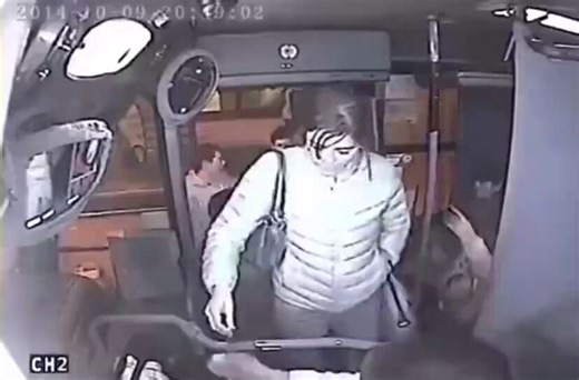 Guy attempts to steal a woman's purse, and the bus driver locks the door, trapping him