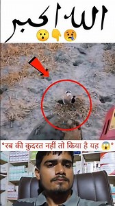 subhanallah ✨❣️😍#shorts #viral #allahuakbar #islamic