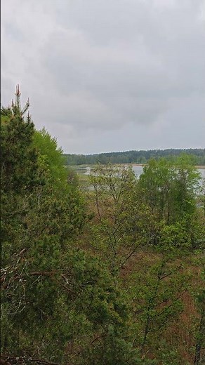 Kaulushaikara ääni