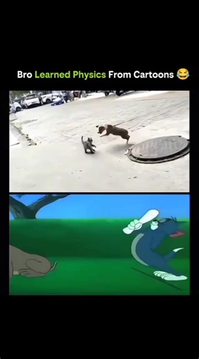 SCIENCE | HISTORY | KNOWLADGE on Instagram: "😂 Bro Learned Physics From Cartoons • Cartoons exaggerate motion but often use real physics concepts. • Gravity always acts downward — even in animated worlds. • Characters don’t fall until they realize they’re in midair (reaction-time illusion). • Momentum explains why running fast leads to longer slides and crashes. • Elastic collisions are shown through stretching and bouncing. • Conservation of energy appears when characters swing, drop, and rebo