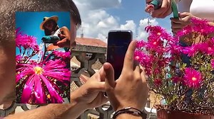 5 MOBILE PHOTOGRAPHY IDEAS AT HOME