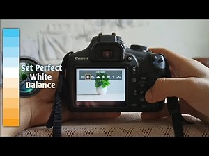 Set White Balance | How to Set Right Color Temperature in DSLR | KELVIN Explained