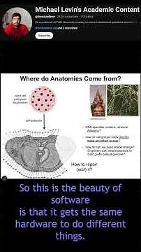 Bioelectric basis of anatomy