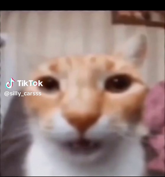 Make Your Pets Talk Using Talking Pets AI