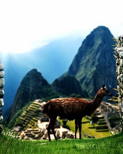 𝐌𝐨𝐮𝐧𝐭𝐚𝐢𝐧𝐬, 𝐌𝐚𝐠𝐢𝐜, 𝐚𝐧𝐝 𝐌𝐢𝐧𝐝-𝐁𝐥𝐨𝐰𝐢𝐧𝐠 𝐕𝐢𝐞𝐰𝐬 🏔️ ✨ 🇵🇪 Machu Picchu isn’t just a destination, it’s an experience. You hike up, but your soul floats higher than the peaks. Trust me, it stays with you. 💫 #Travel #Holidays #MachuPicchu #Peru #BucketListViews #IncaTrailDreams #WanderHigh #SoulfulTravel #AncientWonder #LostCityOfTheIncas #TravelDeeper #MountainVibes #HikeToHeaven | Travel Center