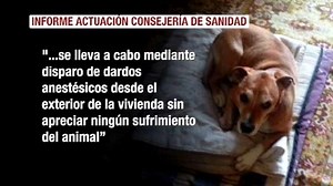 ¿Cómo fue la operación Excálibur?