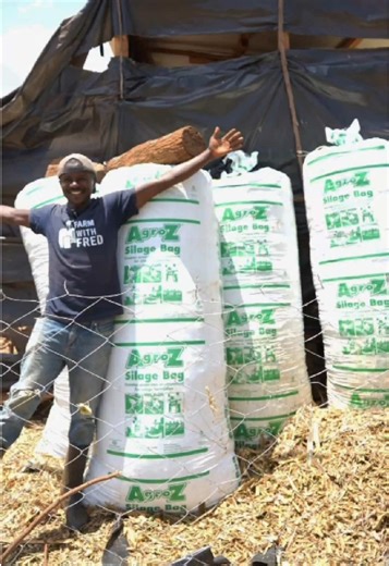 Guía para hacer ensilaje para ganado