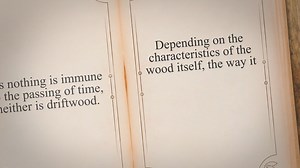 How To Keep Driftwood From Rotting: Tips and Tricks From The Ones Who Know