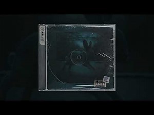 there were bunnies jumping on a trampoline