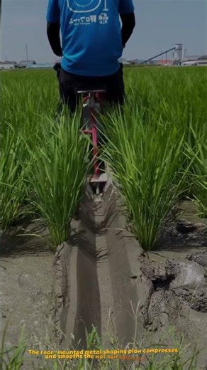 Motorized Single-Wheel Ditching Machine Automatically Shaping Rice Paddy Trench #machine