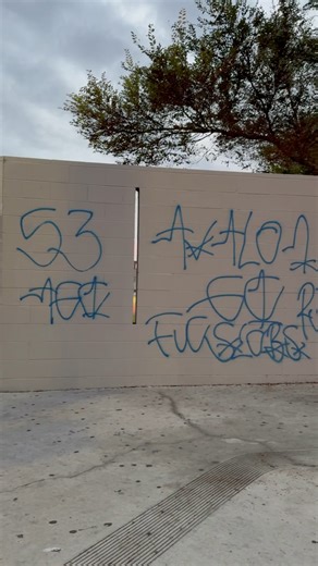 53 Avalon Gangsta Crips strike ups